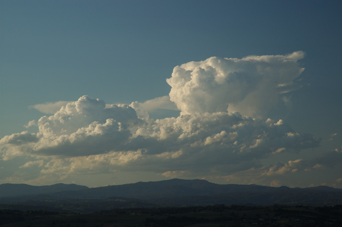 cumulus mediocris : McLeans Ridges, NSW   11 September 2007