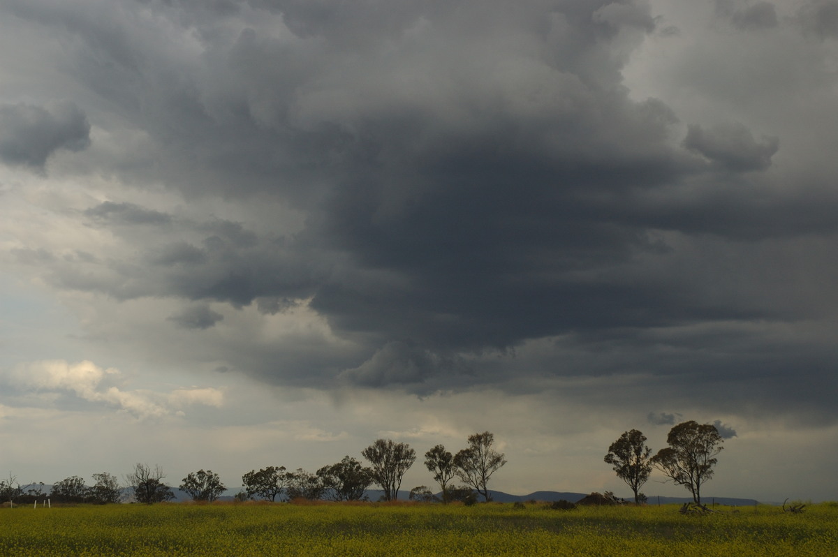 cumulonimbus thunderstorm_base : Warwick, QLD   22 September 2007