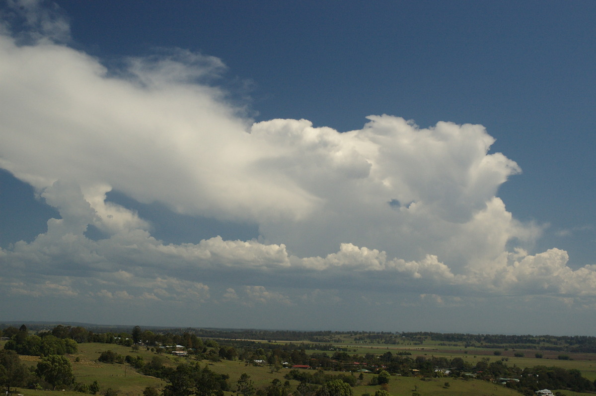 anvil thunderstorm_anvils : Wyrallah, NSW   6 October 2007