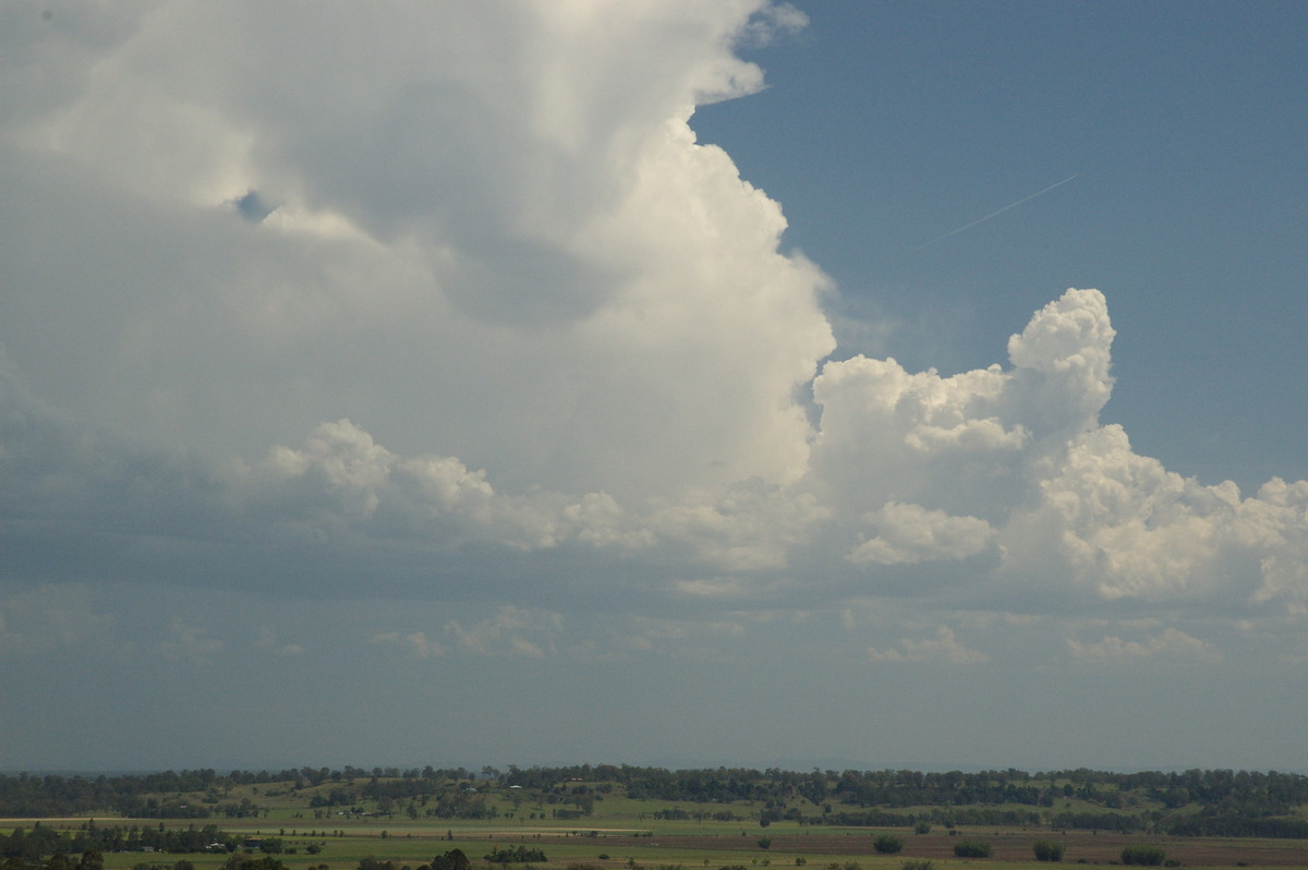 thunderstorm cumulonimbus_calvus : Wyrallah, NSW   6 October 2007