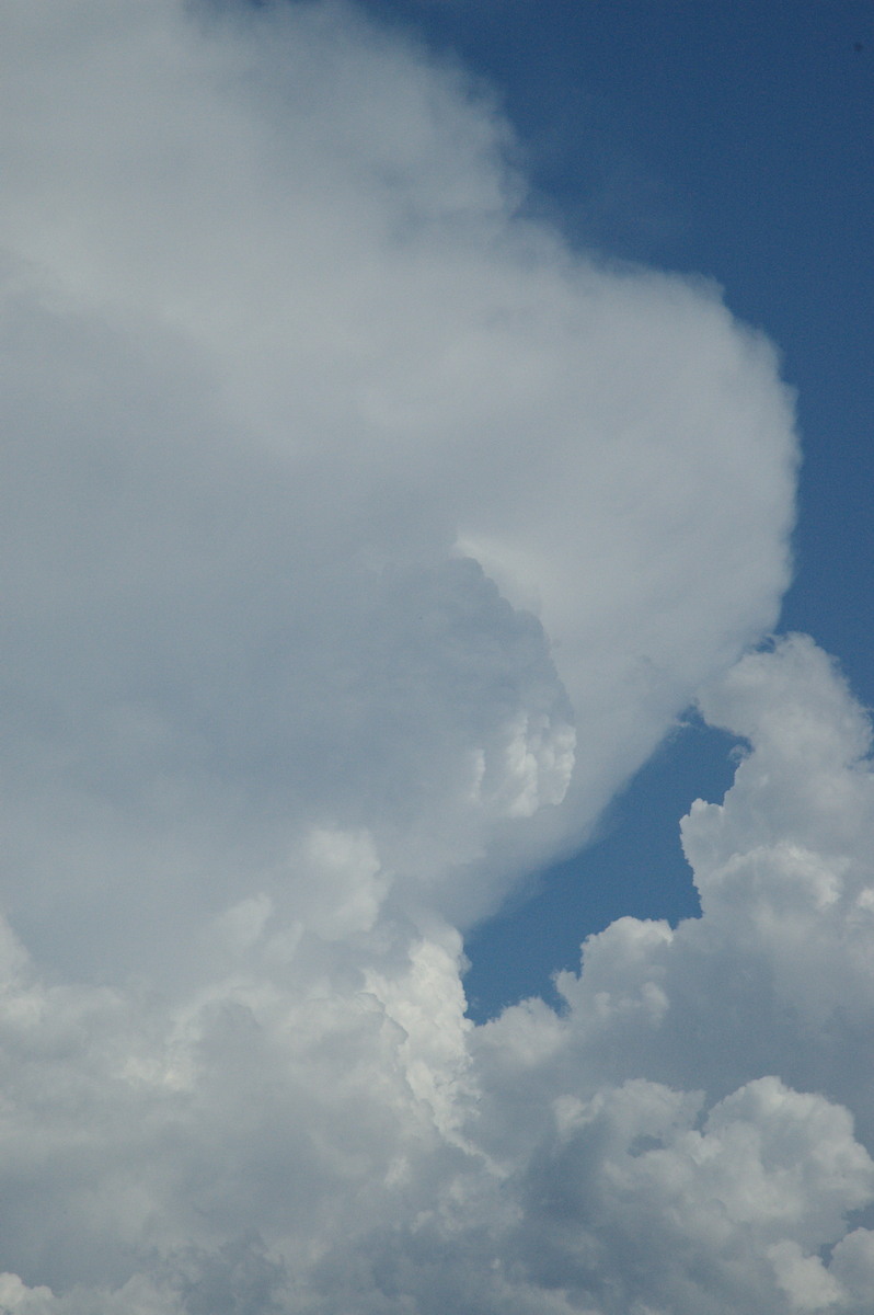 updraft thunderstorm_updrafts : Ruthven, NSW   6 October 2007