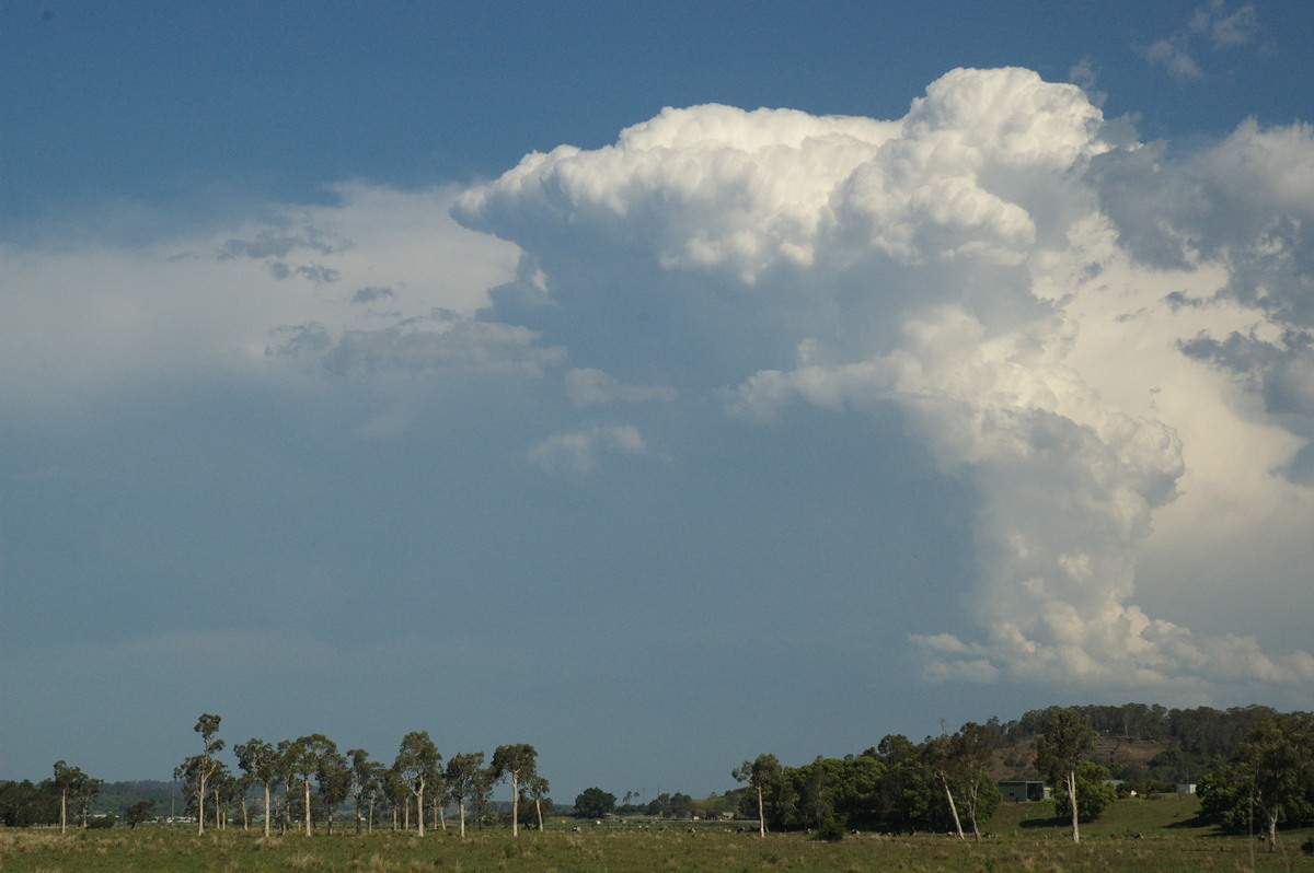 thunderstorm cumulonimbus_incus : near Lismore, NSW   6 October 2007