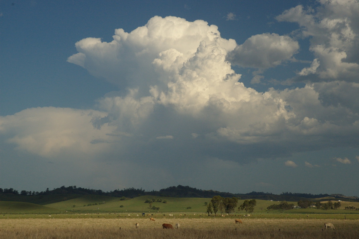 cumulus congestus : near Kyogle, NSW   6 October 2007