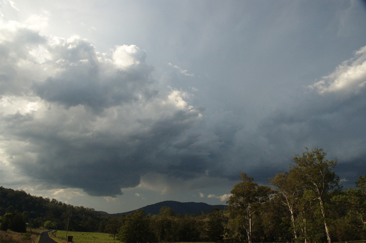 cumulonimbus thunderstorm_base : Border Ranges, NSW   6 October 2007