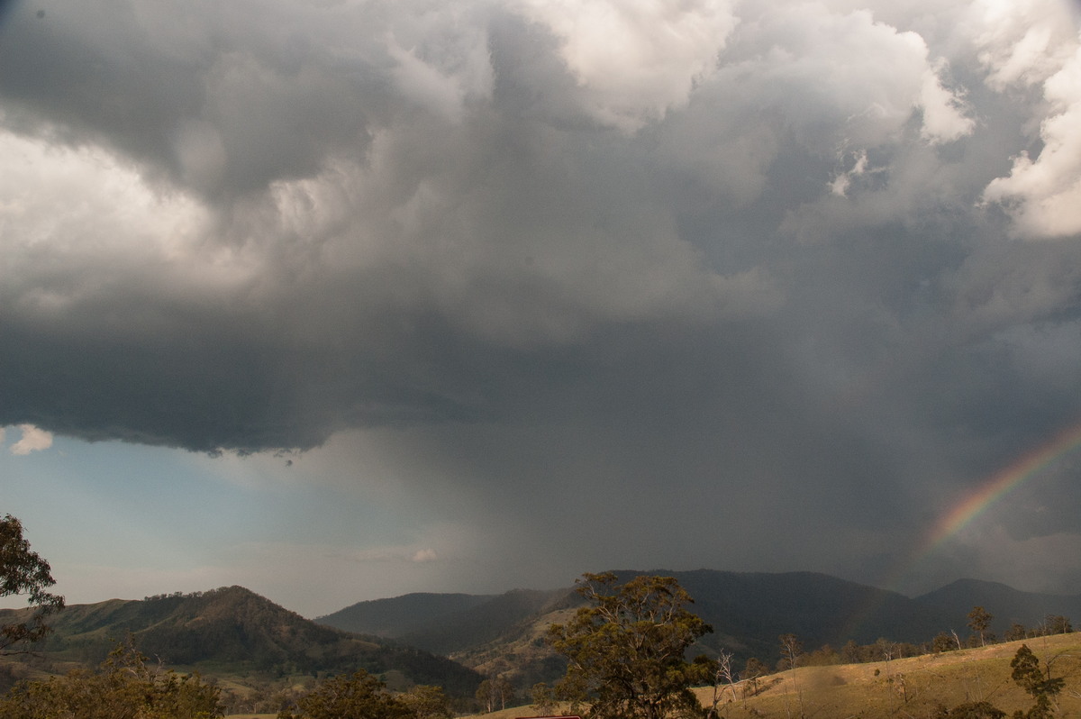 rainbow rainbow_pictures : Border Ranges, NSW   6 October 2007