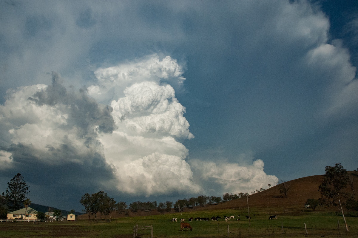 anvil thunderstorm_anvils : near Rathdowney, QLD   6 October 2007