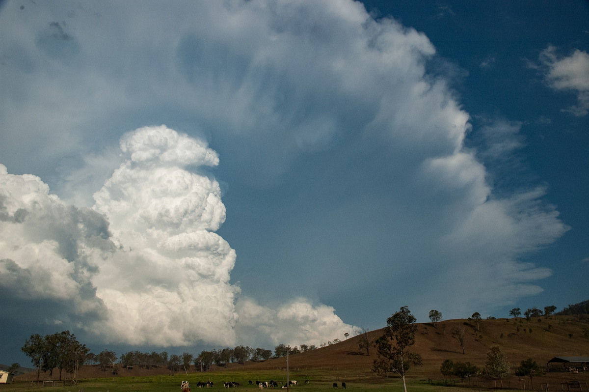 thunderstorm cumulonimbus_incus : near Rathdowney, QLD   6 October 2007