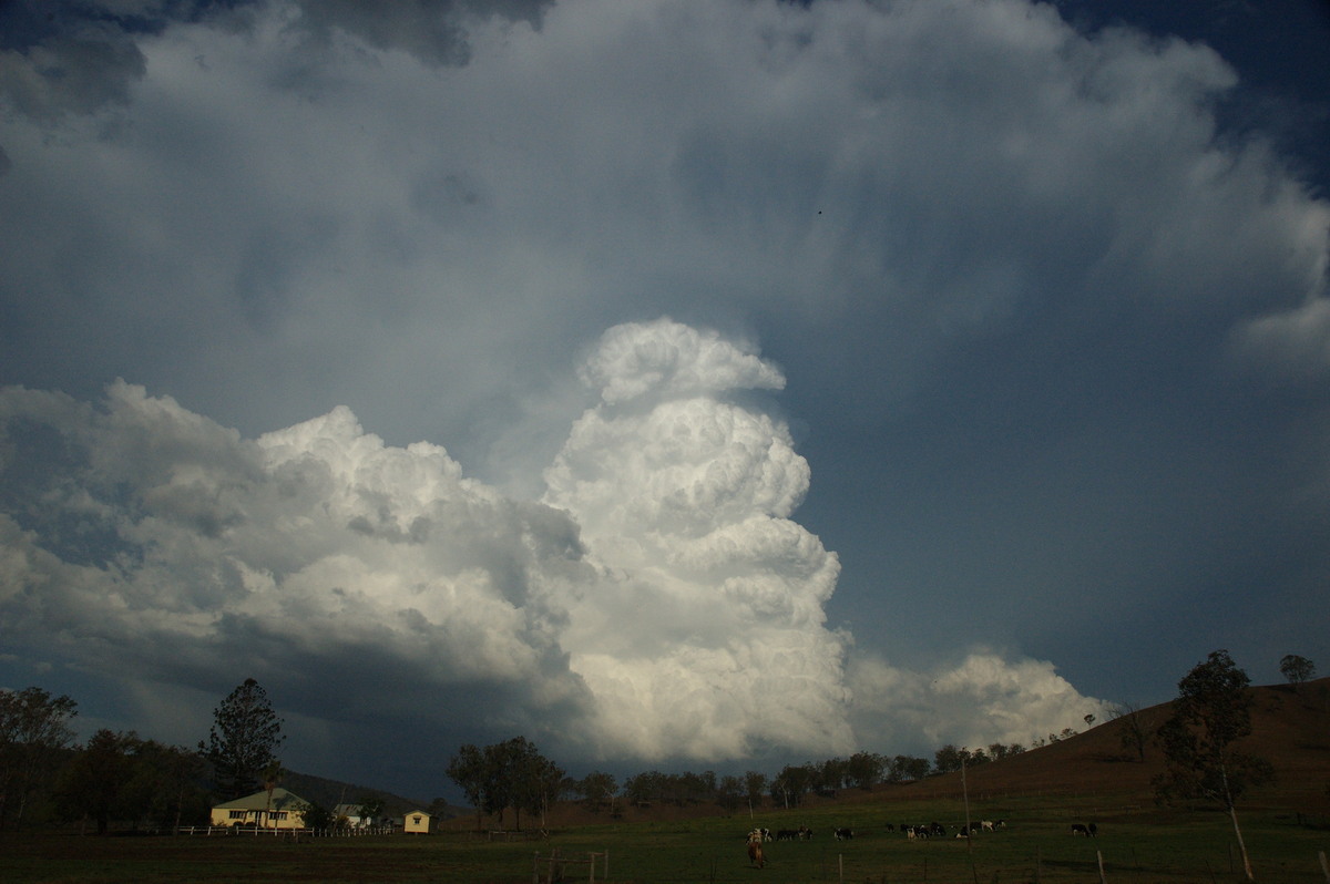 anvil thunderstorm_anvils : near Rathdowney, QLD   6 October 2007