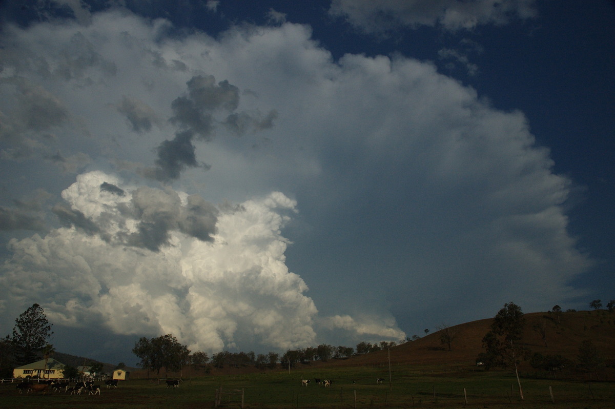 updraft thunderstorm_updrafts : near Rathdowney, QLD   6 October 2007