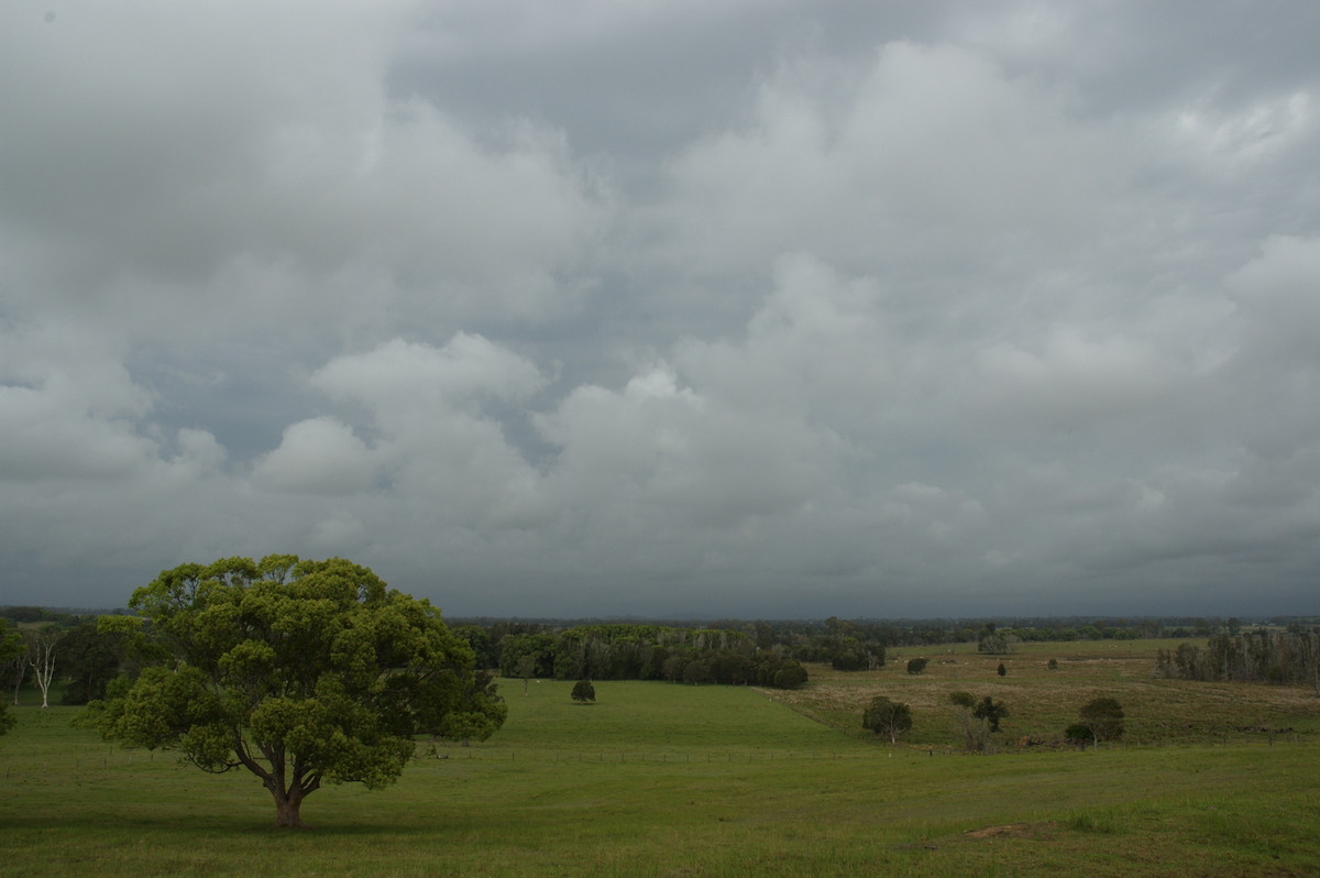 stratus stratus_cloud : near Coraki, NSW   8 October 2007