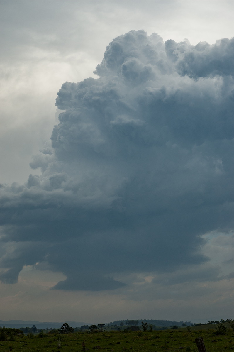 cumulus congestus : Wyrallah, NSW   8 October 2007