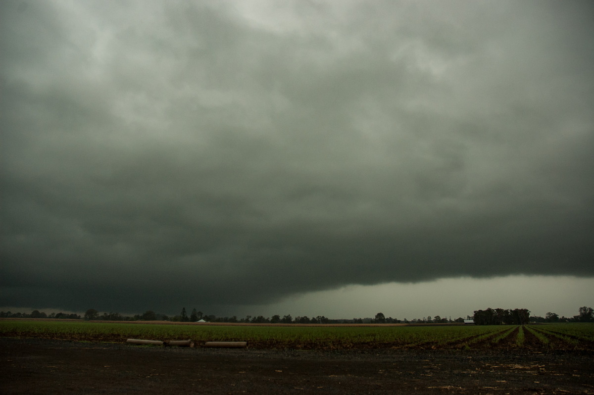 cumulonimbus thunderstorm_base : near Coraki, NSW   8 October 2007