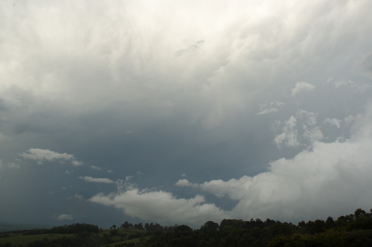 mammatus mammatus_cloud : McLeans Ridges, NSW   8 October 2007