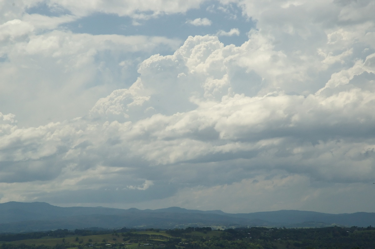 thunderstorm cumulonimbus_calvus : McLeans Ridges, NSW   9 October 2007