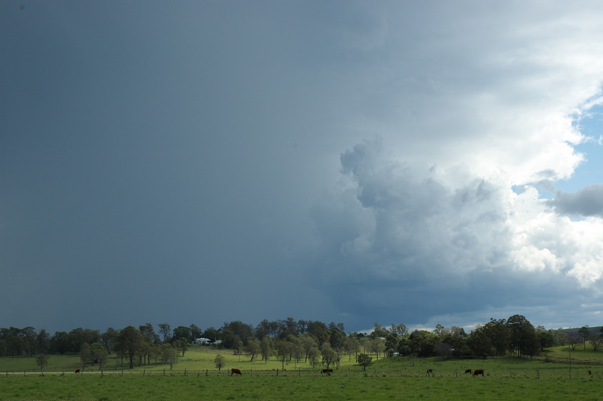 cumulonimbus thunderstorm_base : NW of Casino, NSW   11 October 2007