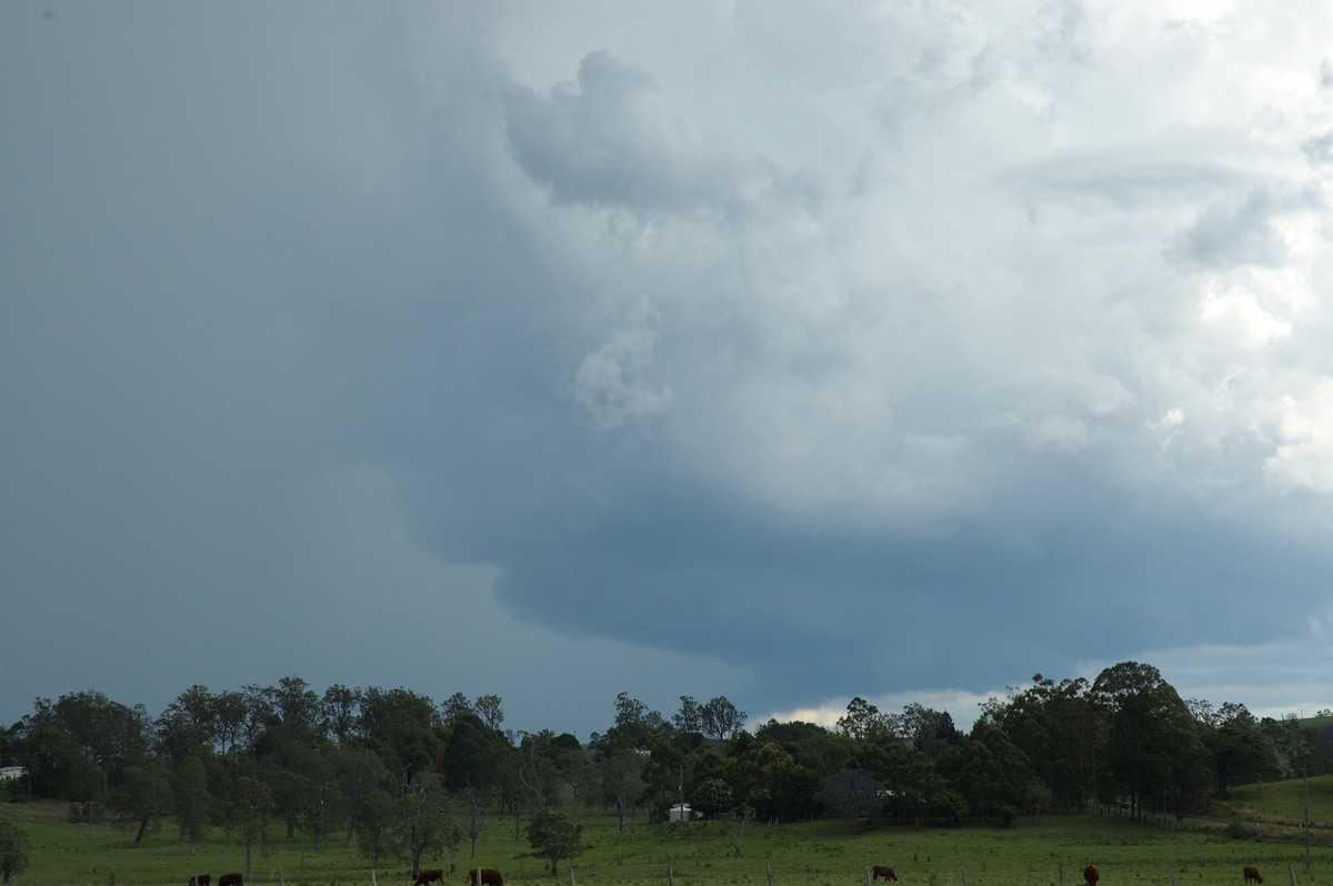 updraft thunderstorm_updrafts : NW of Casino, NSW   11 October 2007