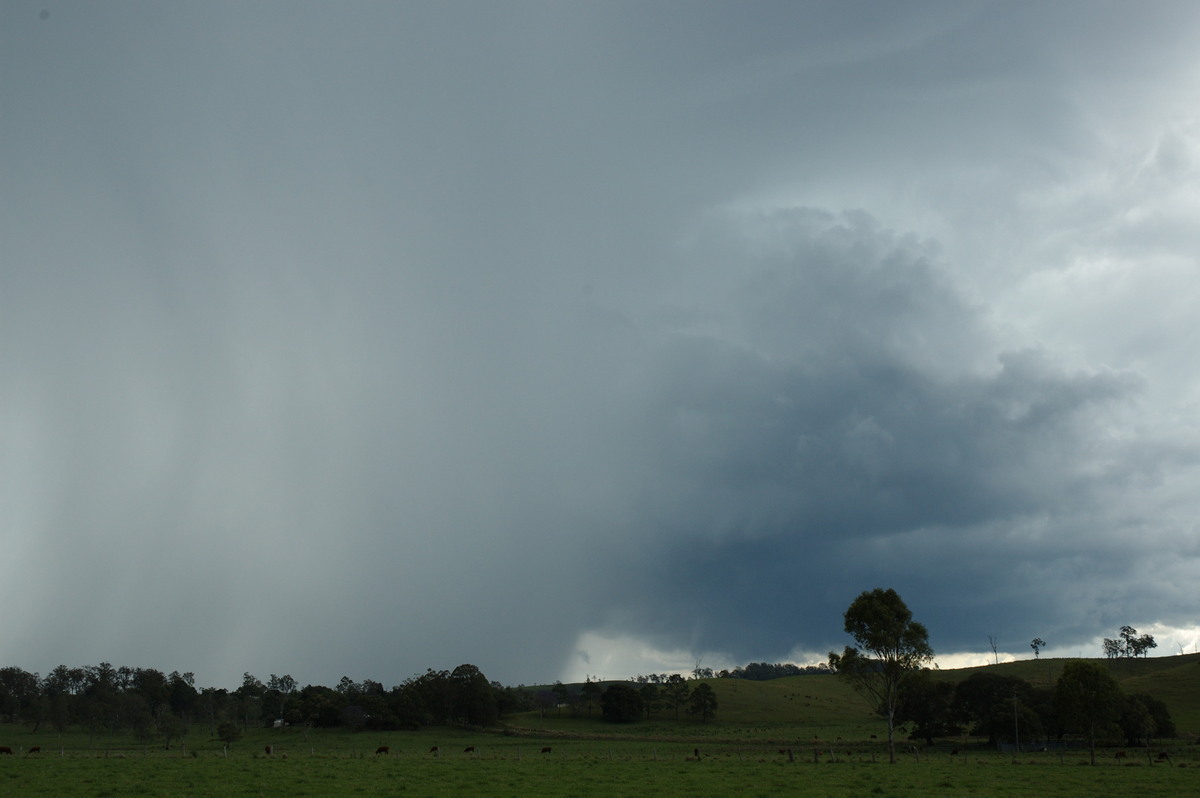 cumulonimbus thunderstorm_base : NW of Casino, NSW   11 October 2007