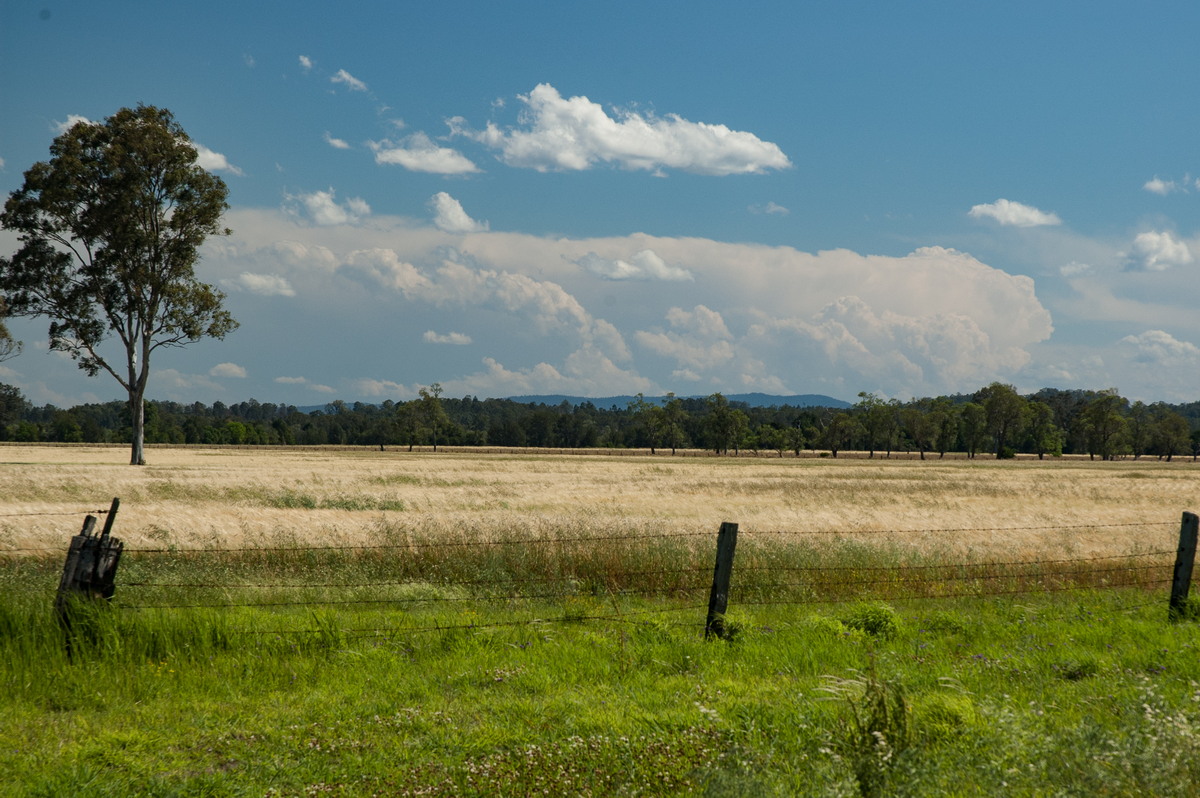 thunderstorm cumulonimbus_incus : Shannon Brook, NSW   12 October 2007