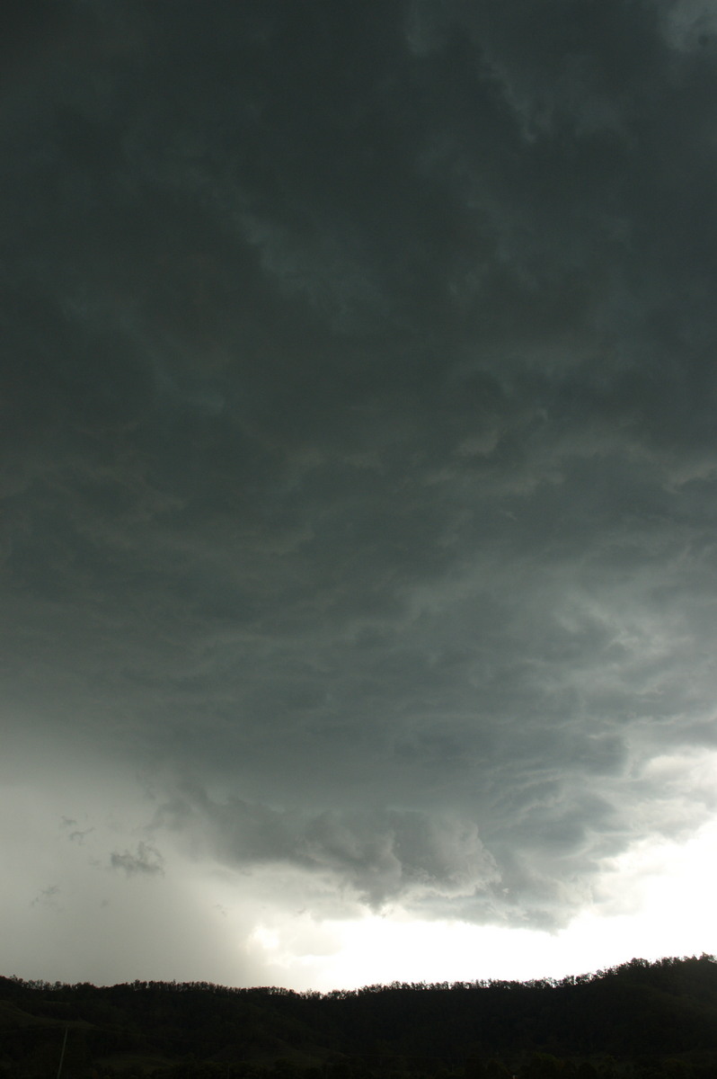 cumulonimbus thunderstorm_base : Wiangaree, NSW   12 October 2007