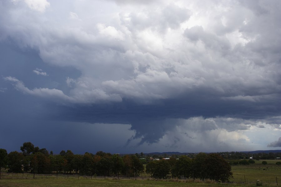 wallcloud thunderstorm_wall_cloud : Casino, NSW   26 October 2007