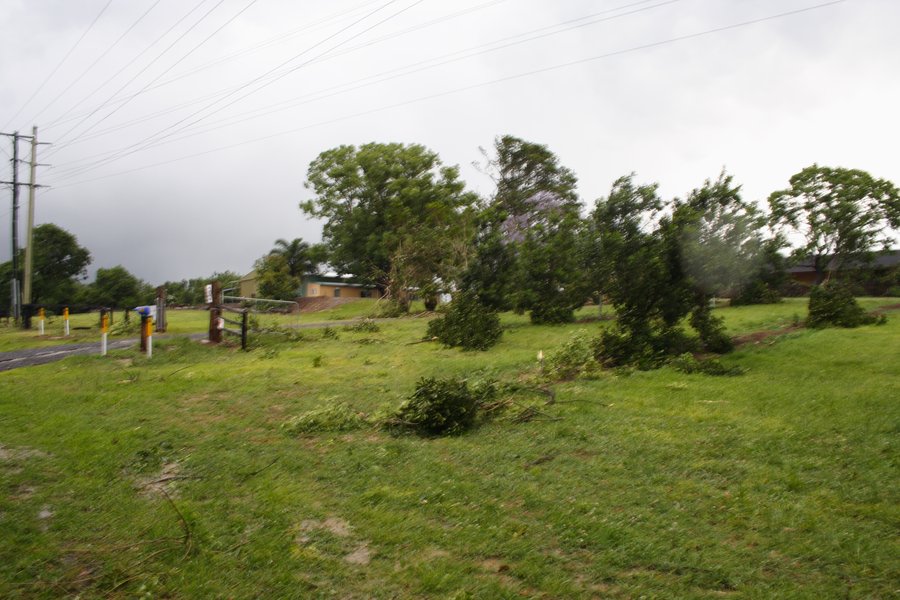 disasters storm_damage : Dunoon, NSW   26 October 2007