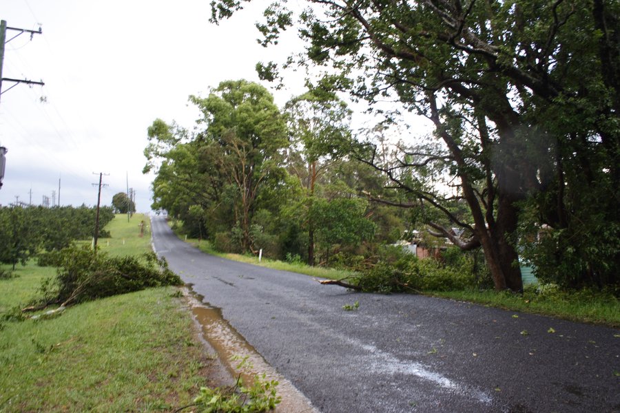 disasters storm_damage : Dunoon, NSW   26 October 2007