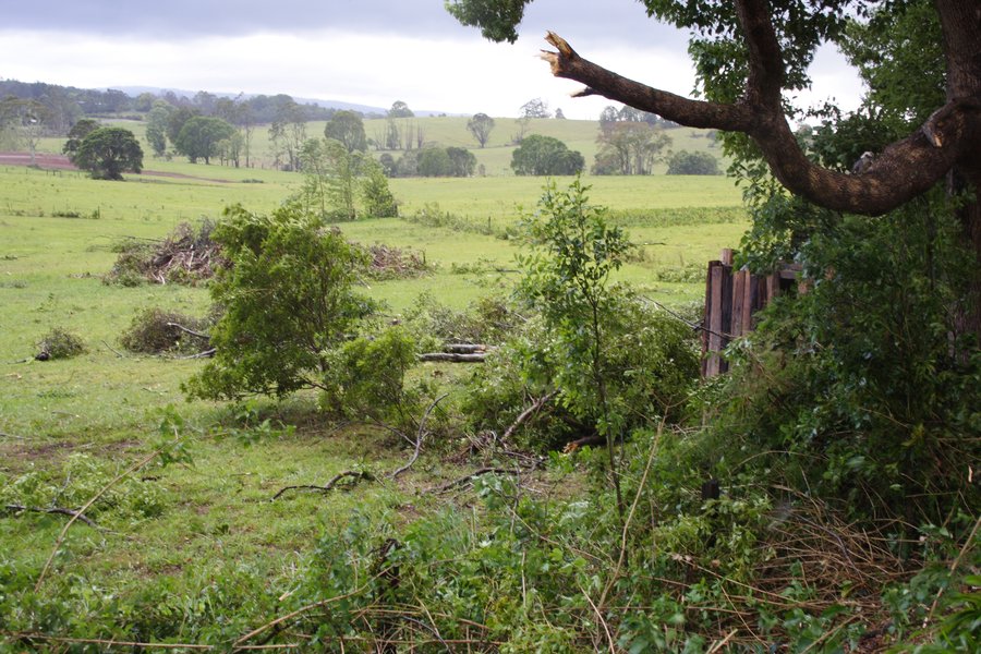 disasters storm_damage : Dunoon, NSW   26 October 2007