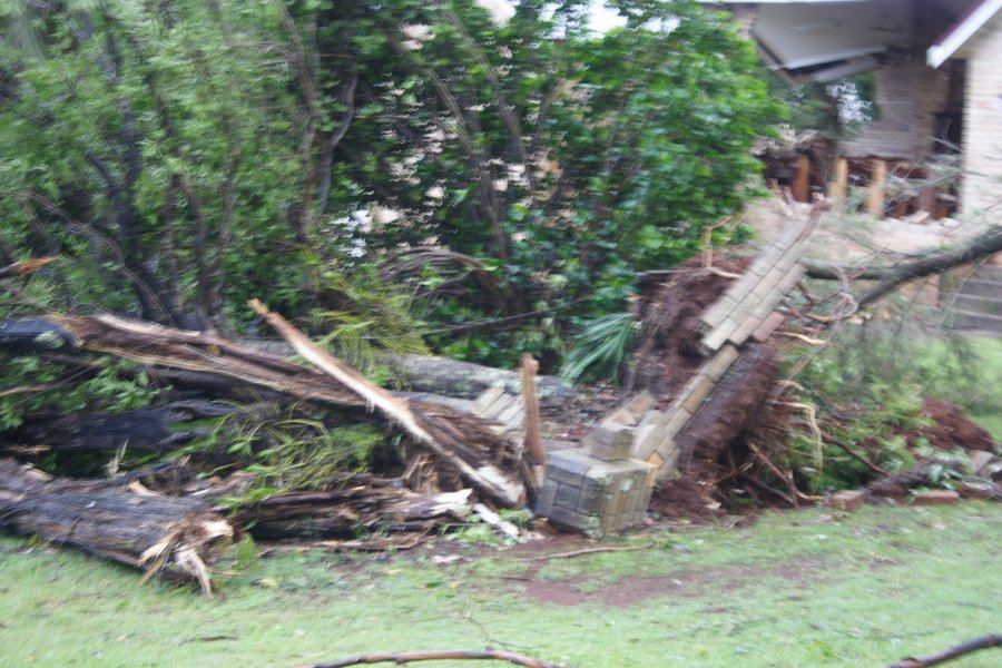 disasters storm_damage : Dunoon, NSW   26 October 2007