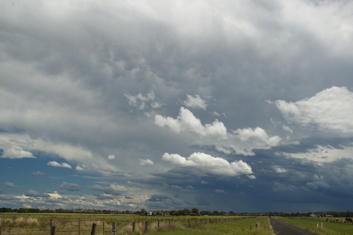 mammatus mammatus_cloud : N of Casino, NSW   26 October 2007