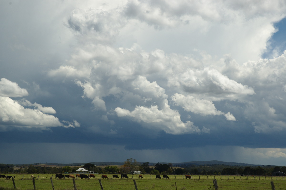 cumulonimbus thunderstorm_base : N of Casino, NSW   26 October 2007