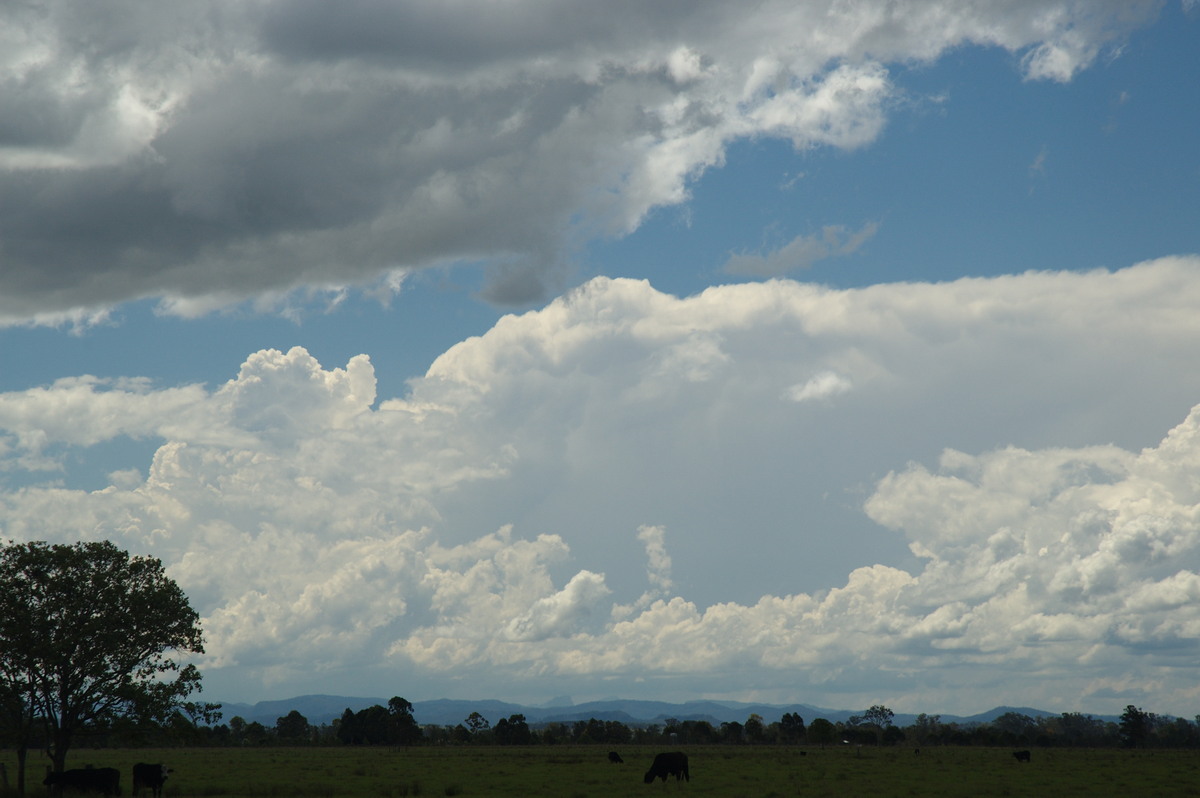 thunderstorm cumulonimbus_incus : N of Casino, NSW   26 October 2007