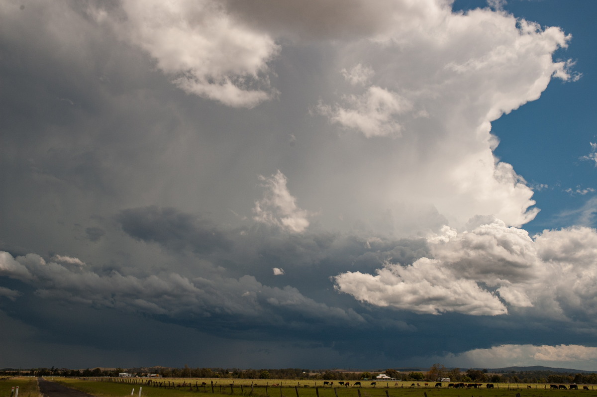 cumulonimbus thunderstorm_base : N of Casino, NSW   26 October 2007