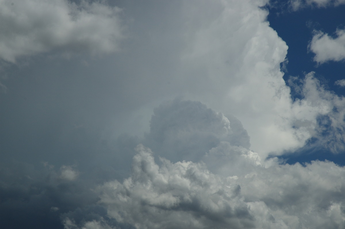 updraft thunderstorm_updrafts : N of Casino, NSW   26 October 2007