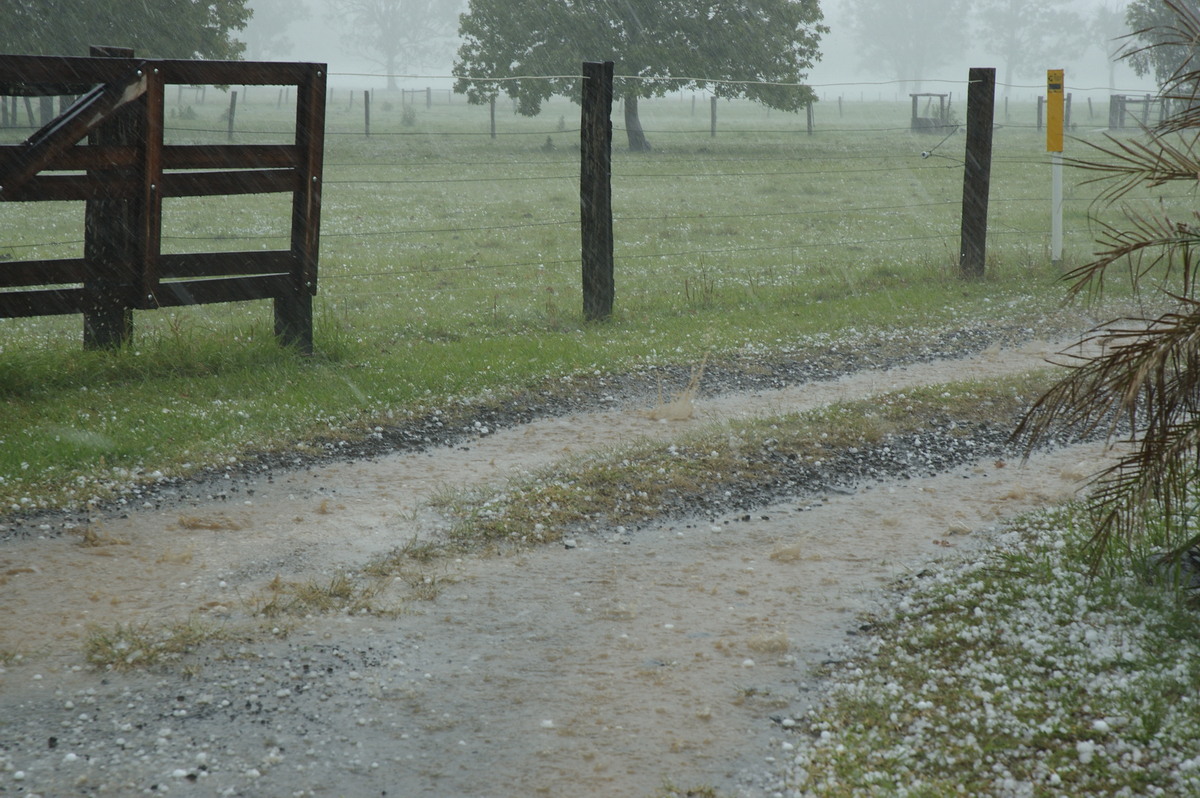 precipitation precipitation_rain : Tatham, NSW   26 October 2007