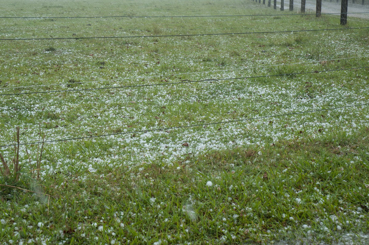 precipitation precipitation_rain : Tatham, NSW   26 October 2007