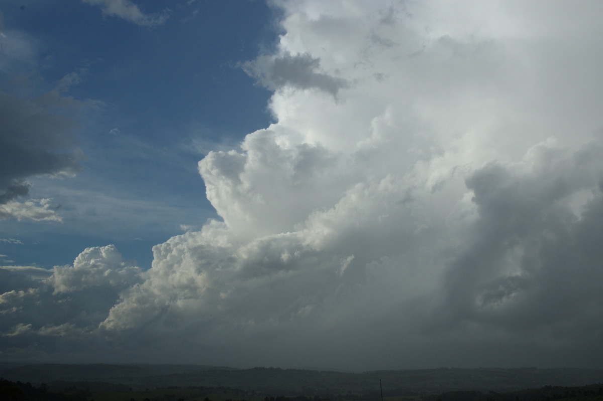 stratus stratus_cloud : McLeans Ridges, NSW   26 October 2007