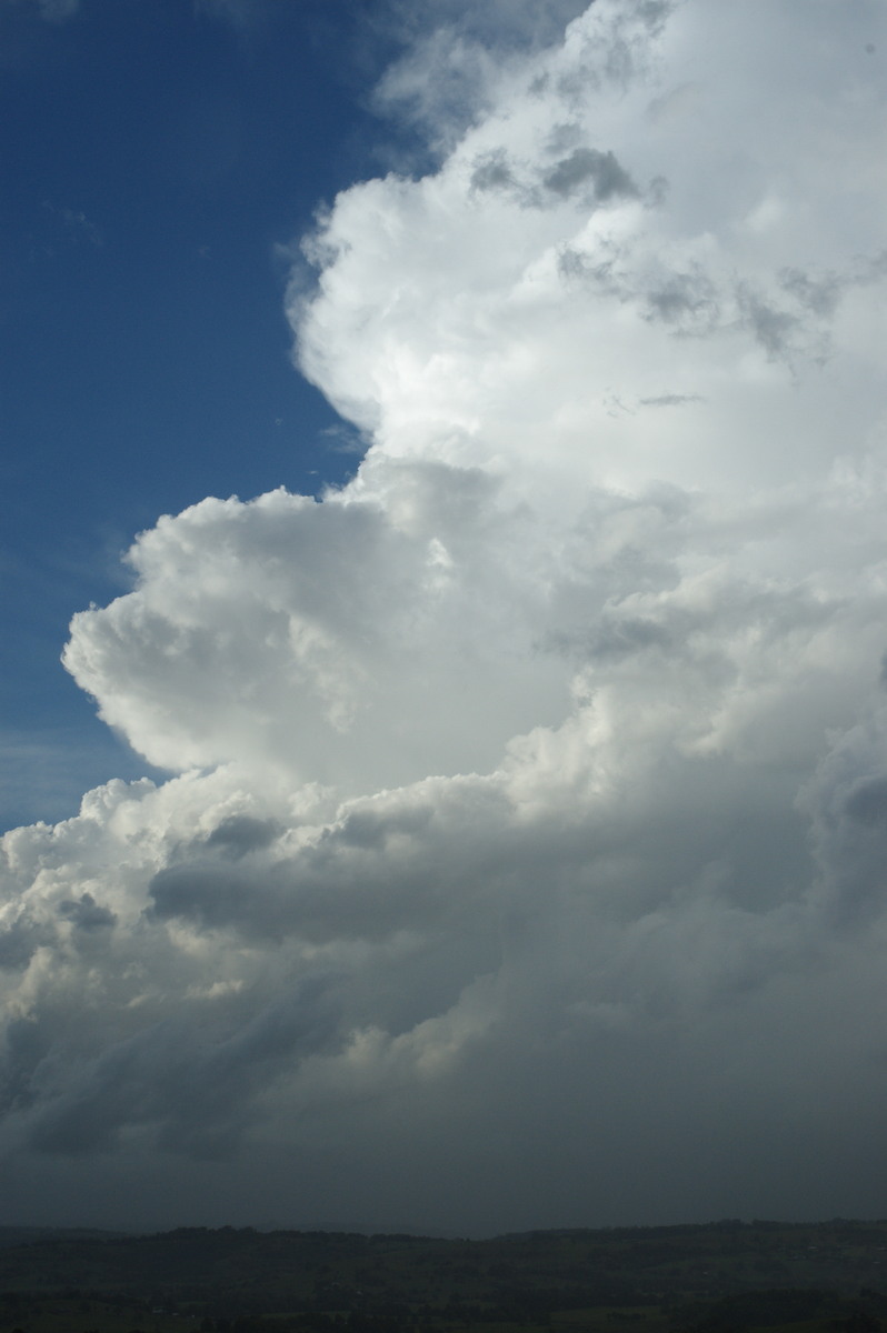 cumulonimbus supercell_thunderstorm : McLeans Ridges, NSW   26 October 2007