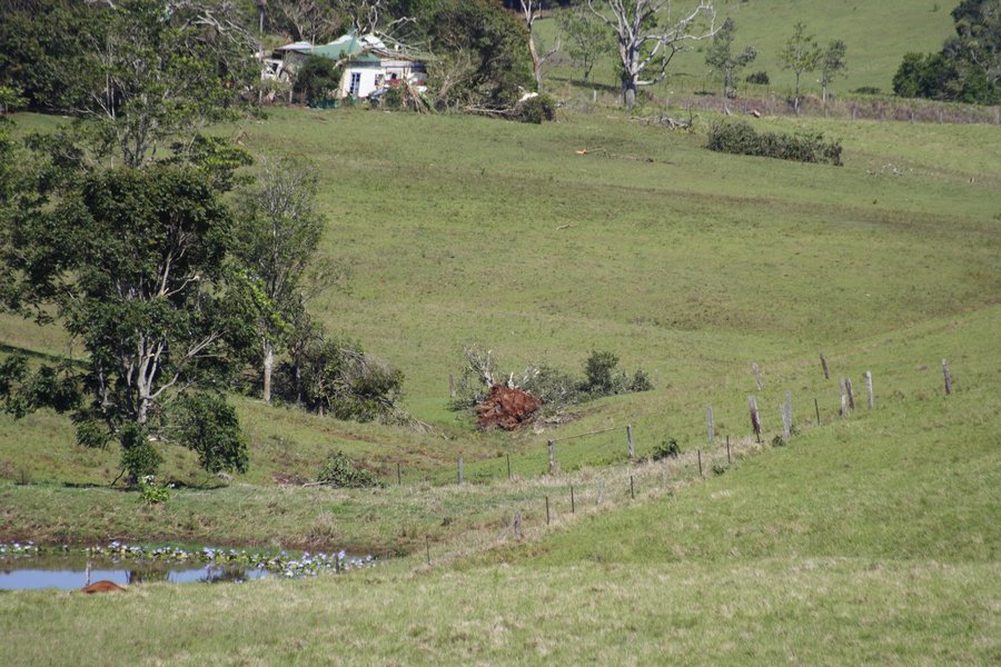 disasters storm_damage : Dunoon, NSW   27 October 2007