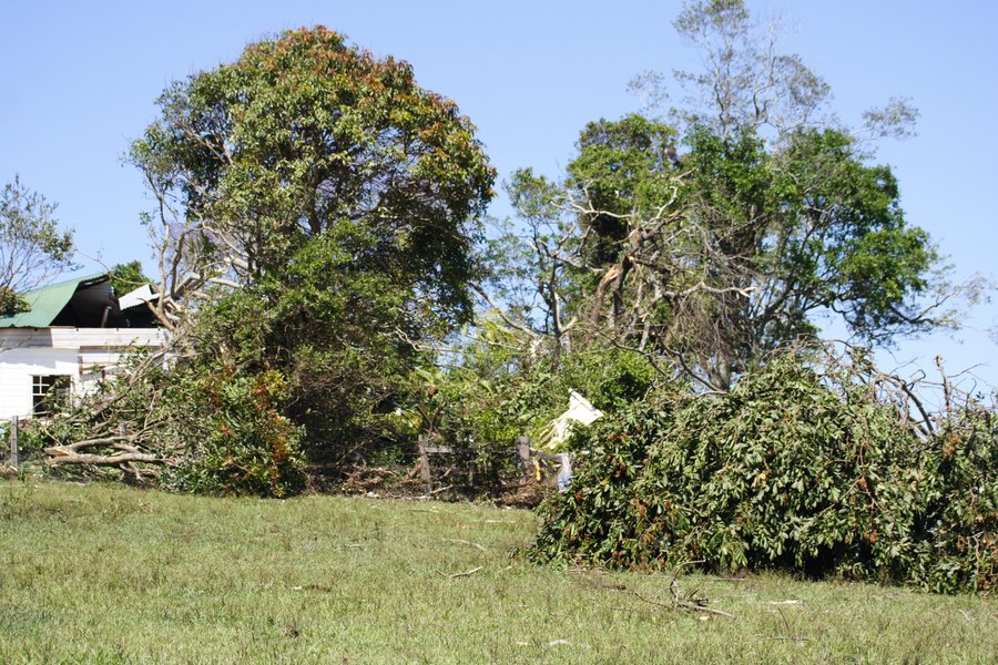 disasters storm_damage : Dunoon, NSW   27 October 2007