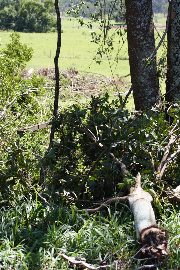 disasters storm_damage : Dunoon, NSW   27 October 2007