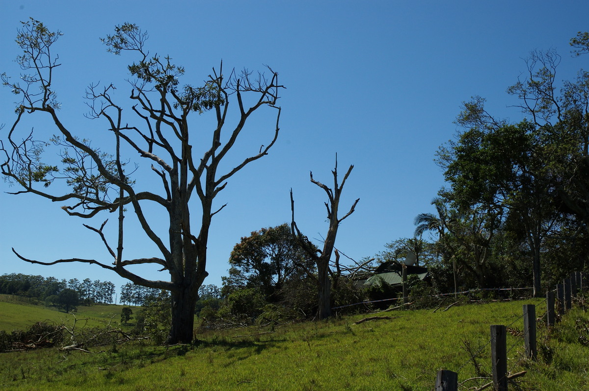 disasters storm_damage : Dunoon Tornado, NSW   27 October 2007