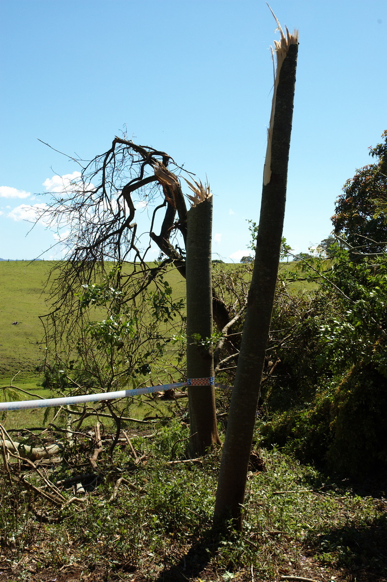 disasters storm_damage : Dunoon Tornado, NSW   27 October 2007