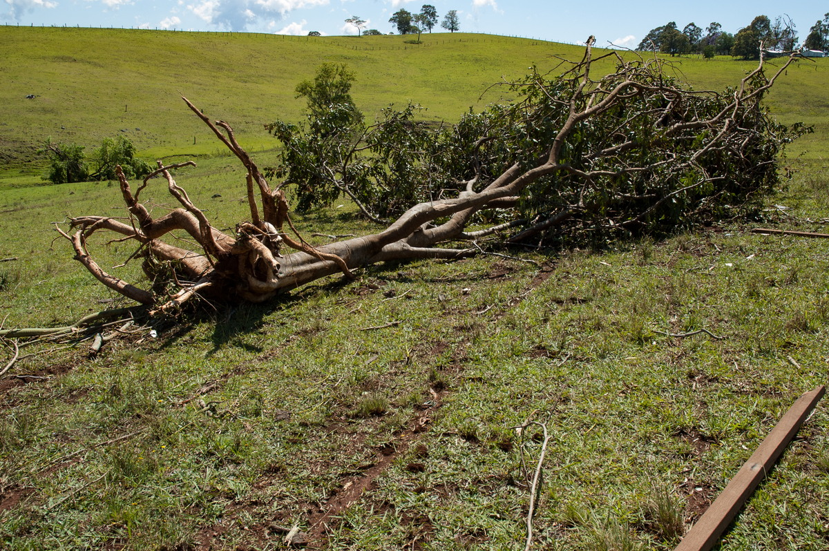 disasters storm_damage : Dunoon Tornado, NSW   27 October 2007