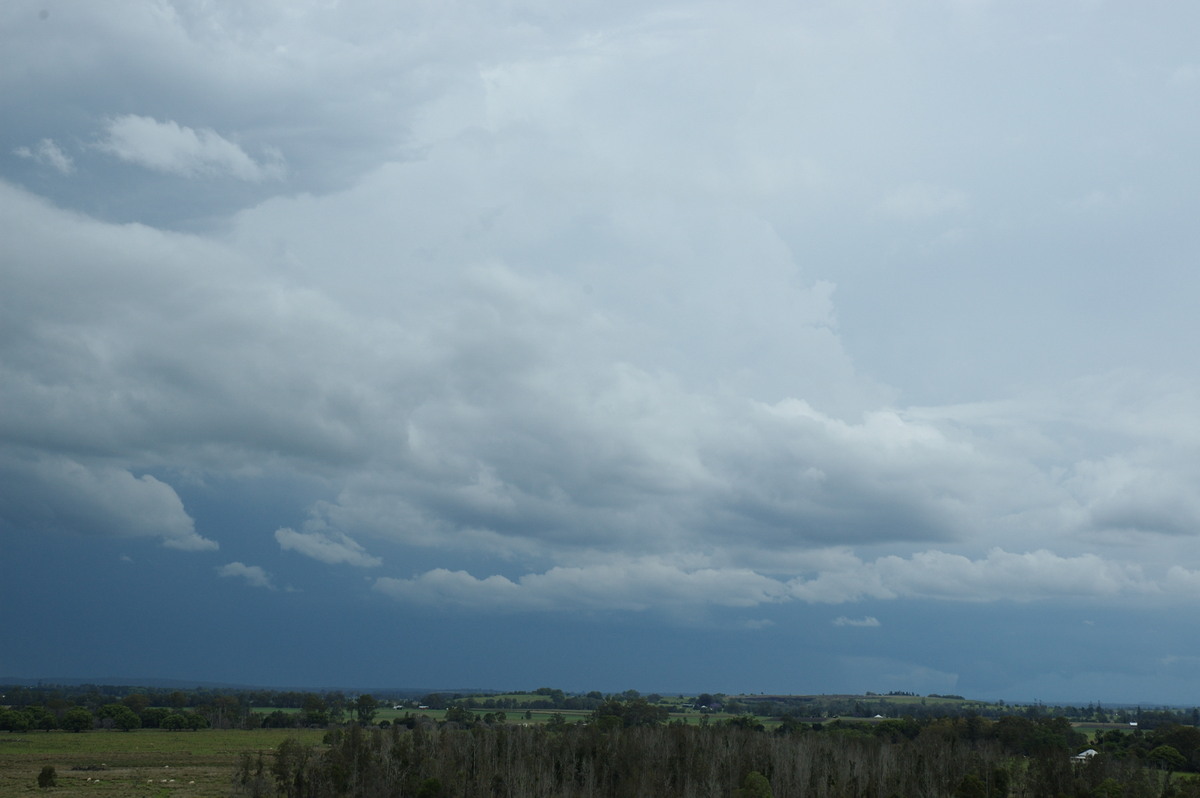 cumulonimbus thunderstorm_base : Wyrallah, NSW   29 October 2007