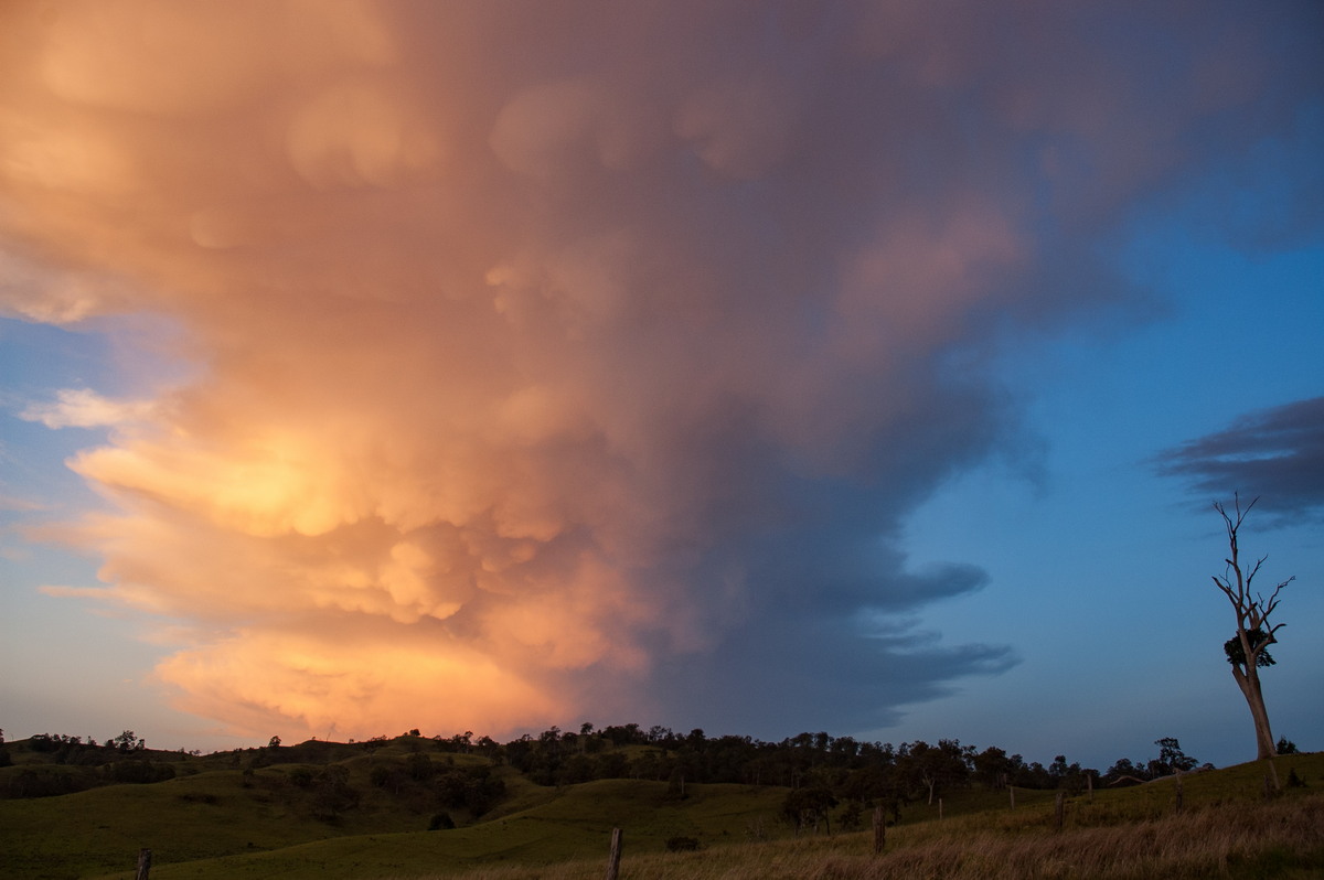 mammatus mammatus_cloud : W of Kyogle, NSW   30 October 2007