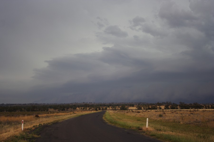 shelfcloud shelf_cloud : near North Star, NSW   31 October 2007