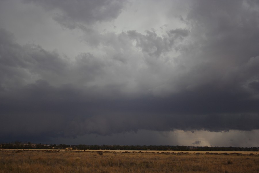 cumulonimbus thunderstorm_base : near North Star, NSW   31 October 2007