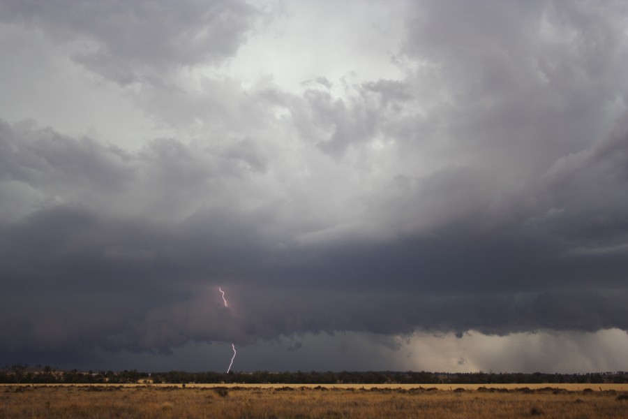 lightning lightning_bolts : near North Star, NSW   31 October 2007