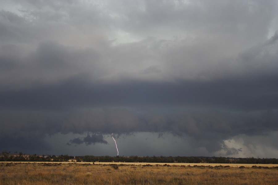 cumulonimbus thunderstorm_base : near North Star, NSW   31 October 2007