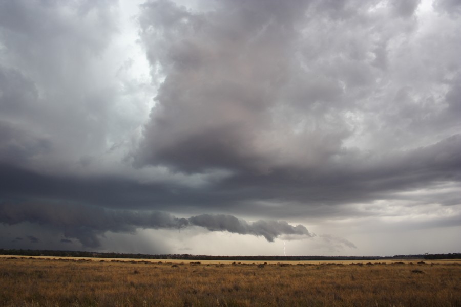 cumulonimbus thunderstorm_base : near North Star, NSW   31 October 2007